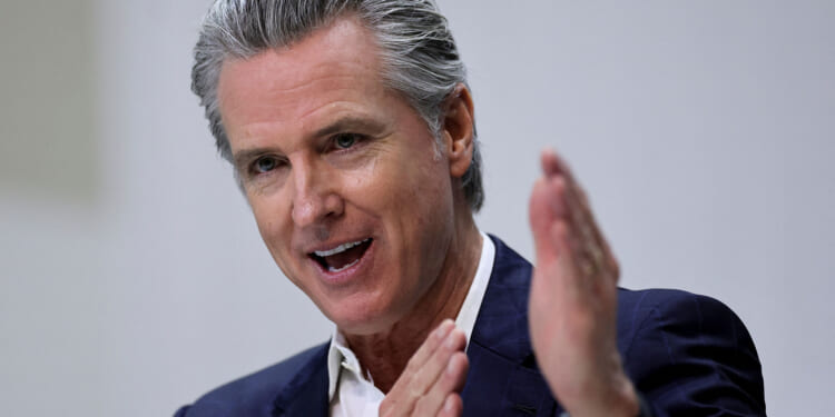 Newsom Has His Own Massive State Fraud Problem