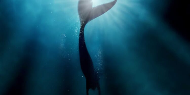 Naked woman 'trying to be a mermaid' in neighbor's pond charges at deputy who deploys taser — which has 'no effect': Police