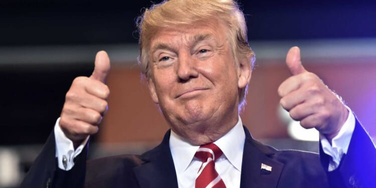 Trump delivers BIGLY: Net migration hits 50-year low, as even leftist group is forced to admit