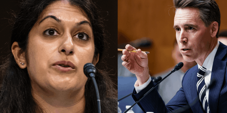 Pro-abortion doctor gets dismantled by Hawley on men and pregnancy: 'I don't know how we can take you seriously'