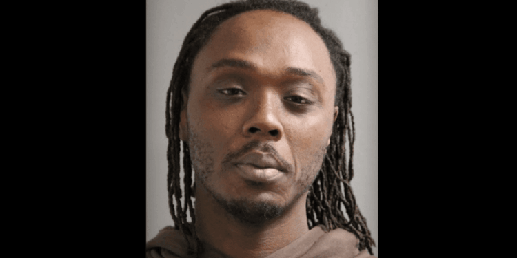 Thug allegedly records video of himself fatally stabbing sleeping man on Chicago train in unprovoked attack