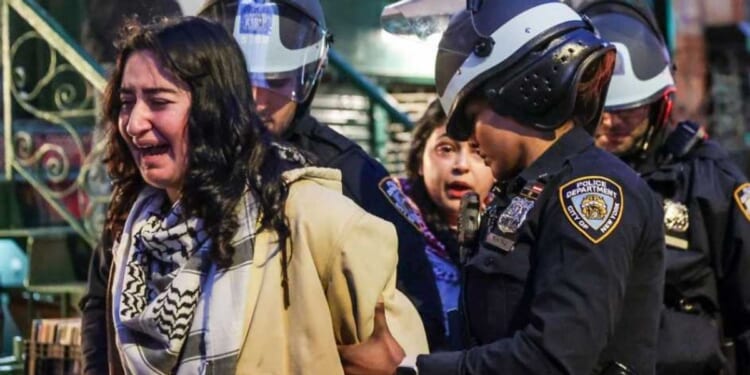 #USTOO: Men are fed up with female insanity. Here's what they tell me.