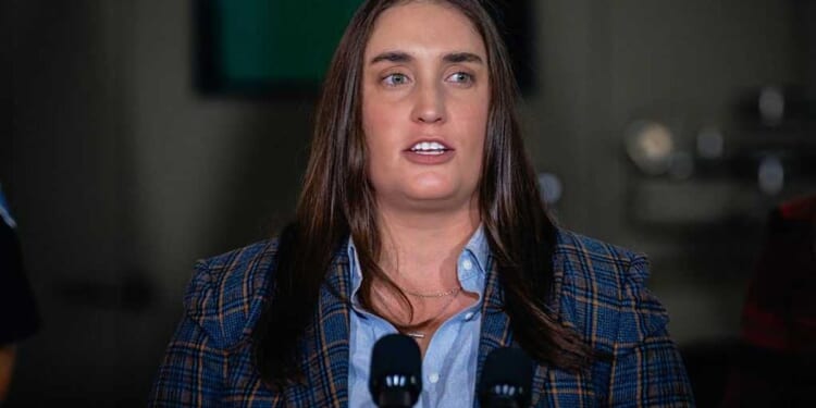 ICE leader goes for Congress: Sheahan dumps desk for battle against 43-year Democrat incumbent