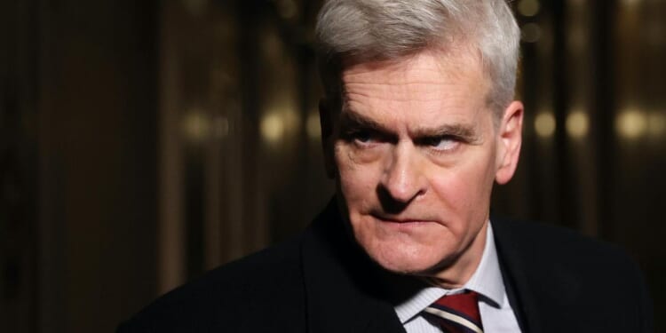 'Federal dollars should not pay for abortion, period': Sen. Cassidy doubles down on Hyde, abortion pill restrictions