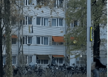 They Put 125 'Refugees' and 125 Students in the Same Building