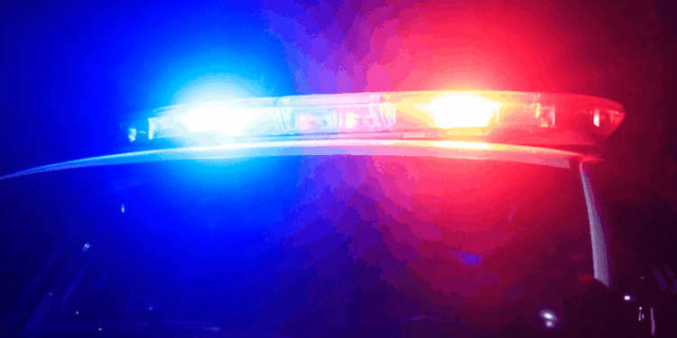 12-year-old boy strikes woman in face with screwdriver after beating her in robbery, police say