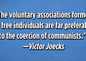 Wednesday Short Cuts