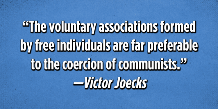 Wednesday Short Cuts