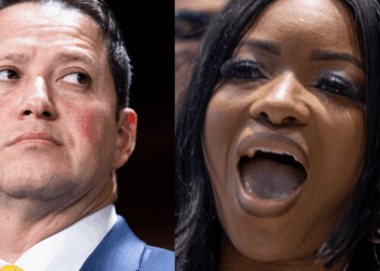 'State-of-the-art': GOP congressman pre-empts Crockett's 'grandstanding' with glimpse inside ICE facility in Texas