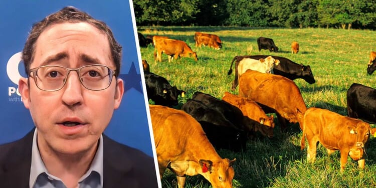 Forget Greenland — we’re losing the real green land that feeds America