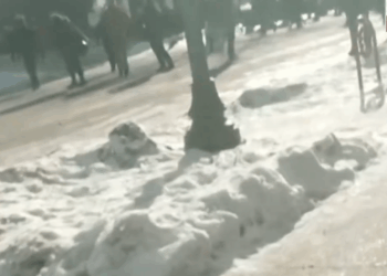 Minneapolis Is a Job for the FBI, Not the Border Patrol