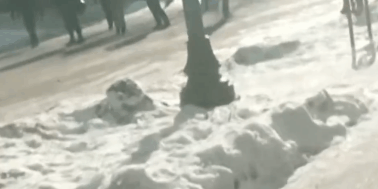 Minneapolis Is a Job for the FBI, Not the Border Patrol