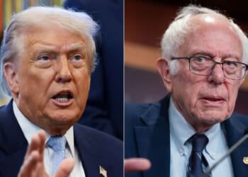 This Way to the Socialists’ Ball