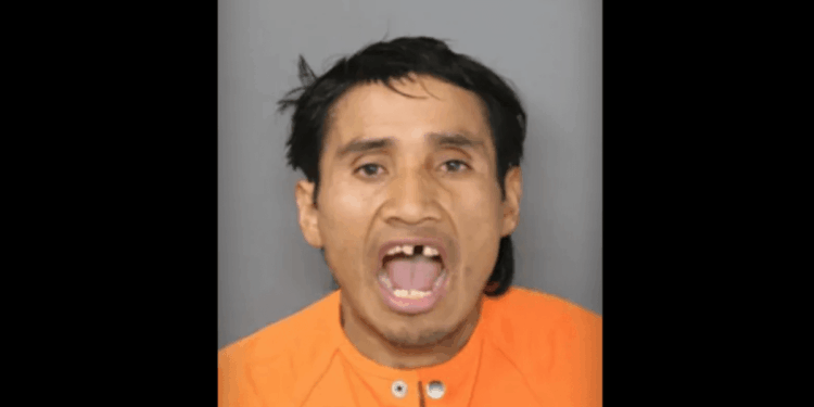 Illegal alien 'monster' accused of throwing rock into school bus, fracturing skull of young girl placed on ICE detainer: Feds