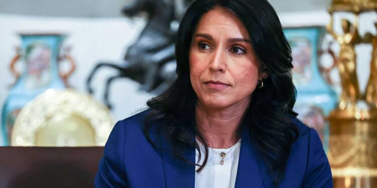 Democrats panic at sight of Tulsi Gabbard at FBI raid of Fulton County election office
