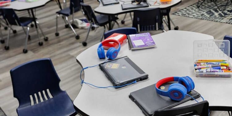 AI in education: Innovation or a predator’s playground?