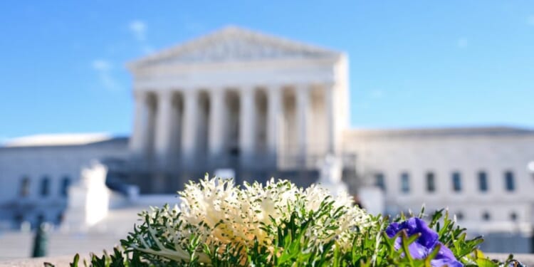 Breaking barriers should not mean breaking women’s sports