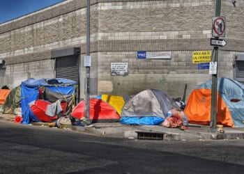 CA Case Shows How Blue States Refuse To Vet Fraudsters