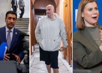 Democrats call for release of DNC's 2024 election autopsy