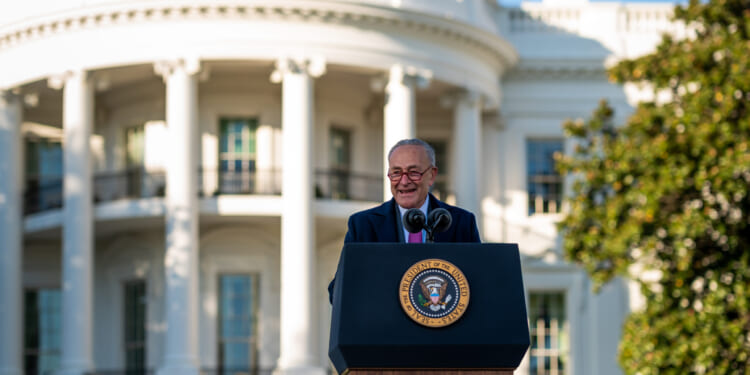 Dems Let Child Tax Credits Expire But Cry 'Crisis' Over Obamacare