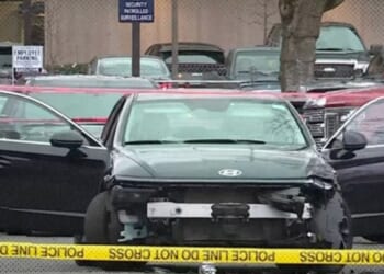 Douglas Andrews: A Predictable Shooting in Portland