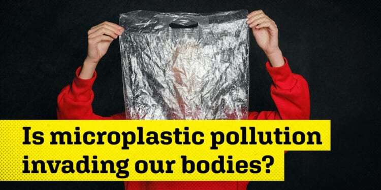 Emmy Griffin: Microplastic Scaremongering and Manipulation