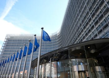 Experts warn about EU regulations targeting US