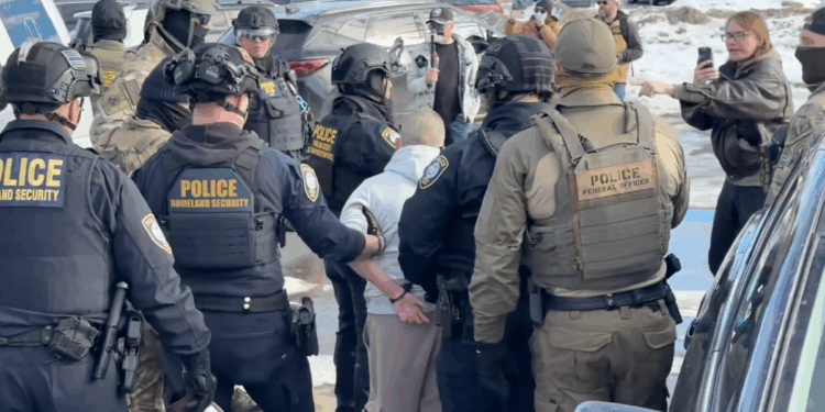 federal law enforcement officers arresting protestor