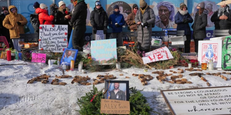 Investigate the Minnesota shootings