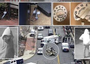 Jan. 6 pipe devices were not bombs, could not have exploded, defense expert contends