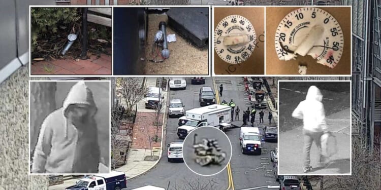 Jan. 6 pipe devices were not bombs, could not have exploded, defense expert contends