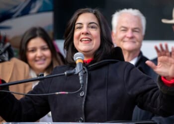 Malliotakis's district at risk after judge approves New York redistricting plan