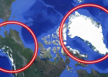 Michael Swartz: Is Greenland 'Trump's Folly'?