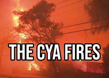 Michael Swartz: The Palisades Fire One Year Later