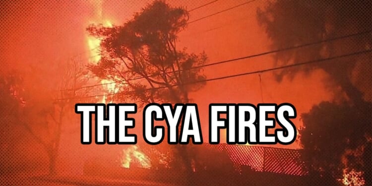 Michael Swartz: The Palisades Fire One Year Later