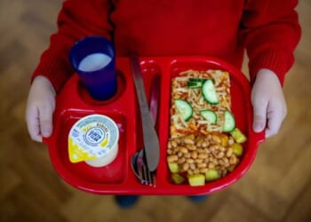 Minnesota’s fraud avalanche begins: How a ‘nonprofit’ scammed $250M meant for needy children