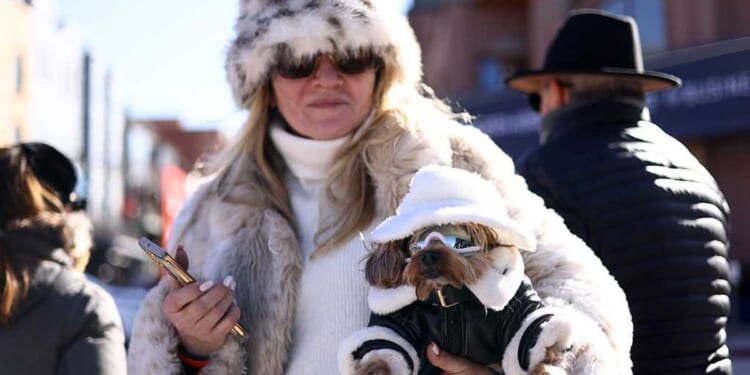 Modern pet ownership is a mental illness