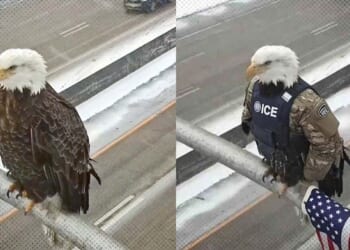 Nate Jackson: This Weekend's Other ICE Storm