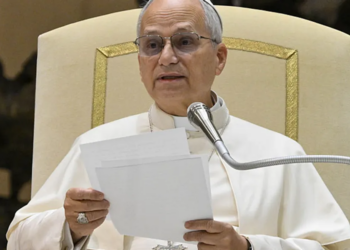 Pope Leo calls out 'inclusive' language as 'Orwellian'