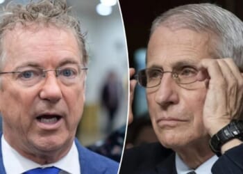 Rand Paul says Pam Bondi 'still' hasn't acted on his criminal referral of Fauci