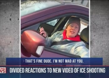 Renee Good Endangered Her Life — and Yours