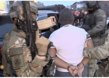 Renee Good Gave Her Life To Protect Killers From ICE Arrest