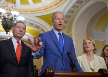 Republicans want Greenland debate resolved 'very soon'