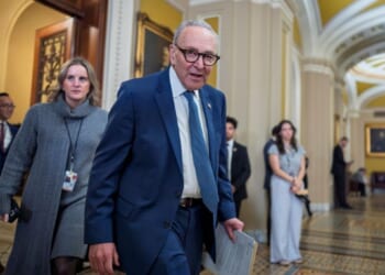 Schumer calls on Senate GOP to scrap DHS funding bill