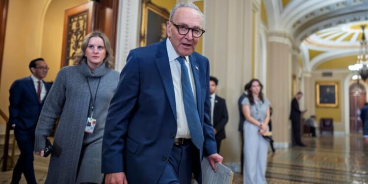 Schumer calls on Senate GOP to scrap DHS funding bill