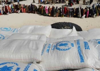 Somalia accused of stealing US-funded food aid, destroying warehouse — but caves when Trump admin cuts it off cold