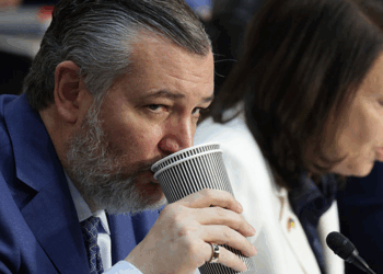 Ted Cruz pelted with insane AI memes as X bans unpaid users from editing pics with Grok