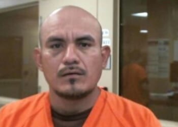 These Are the People Minneapolis Anti-ICE Agitators Are Trying to Protect