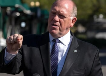 Tom Homan slams lawmakers' 'reckless' reactions to ICE shooting