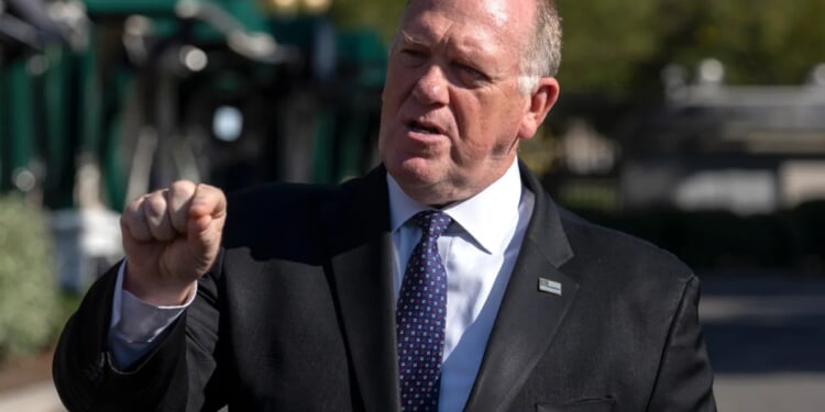 Tom Homan slams lawmakers' 'reckless' reactions to ICE shooting